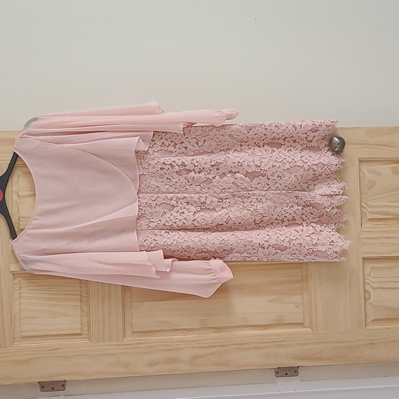 Jacques Vert Mother of the Bride/Groom lace dress with chiffon overlay - Picture 2 of 3